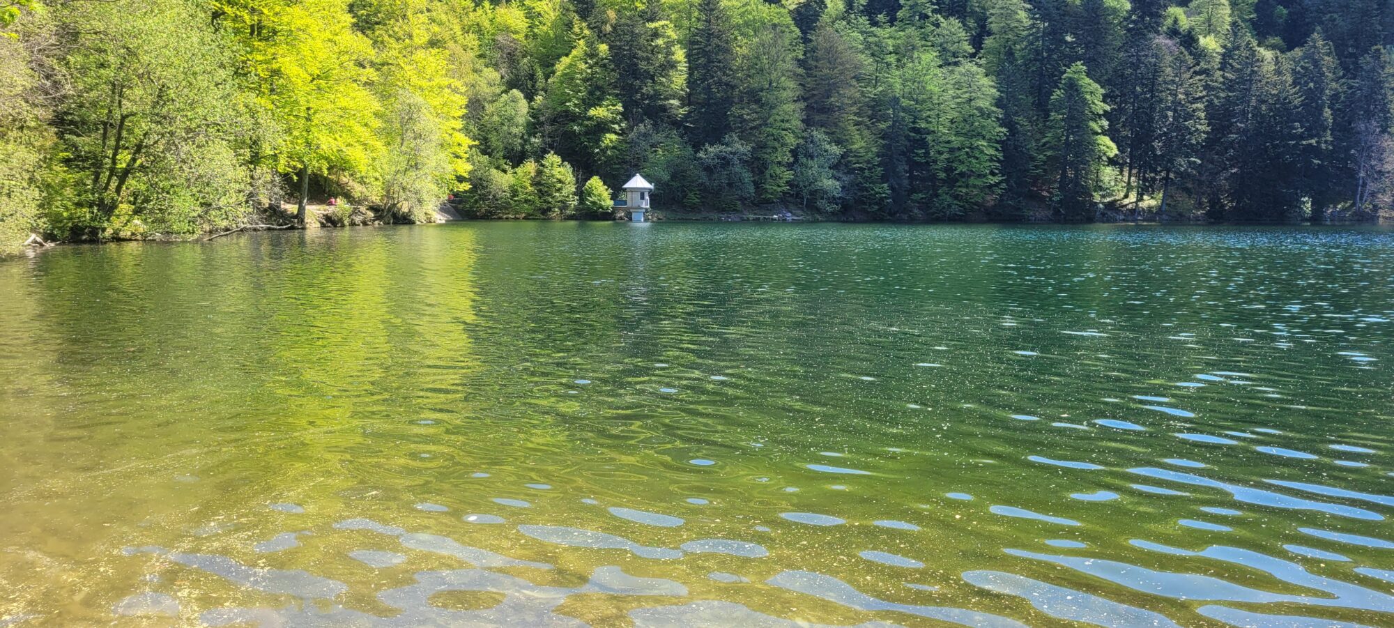 Lac des Vosges (lac du Ballon) , paysage apaisant pour la gestion du stress et l'hypnothérapie dans le Haut-Rhin