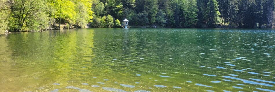 Lac des Vosges (lac du Ballon) , paysage apaisant pour la gestion du stress et l'hypnothérapie dans le Haut-Rhin